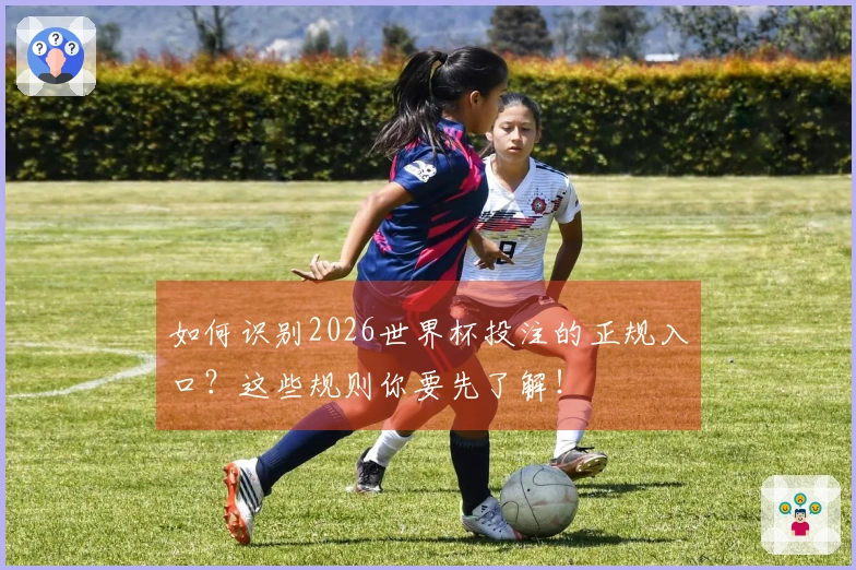 如何识别2026世界杯投注的正规入口？这些规则你要先了解！