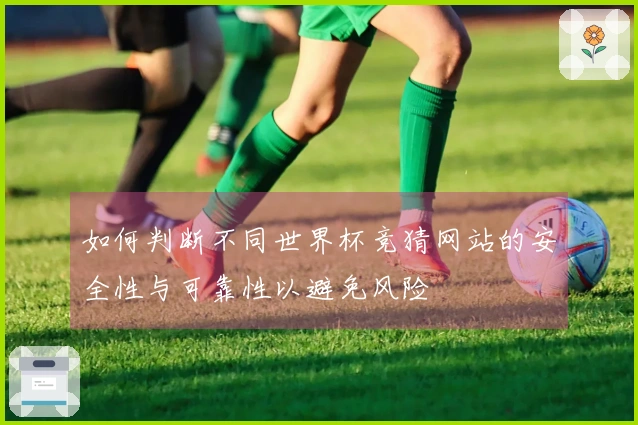 如何判断不同世界杯竞猜网站的安全性与可靠性以避免风险